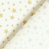 Baumwollstoff Cretonne weihnachtlicher Sternenhimmel klein – weiss,  thumbnail number 5