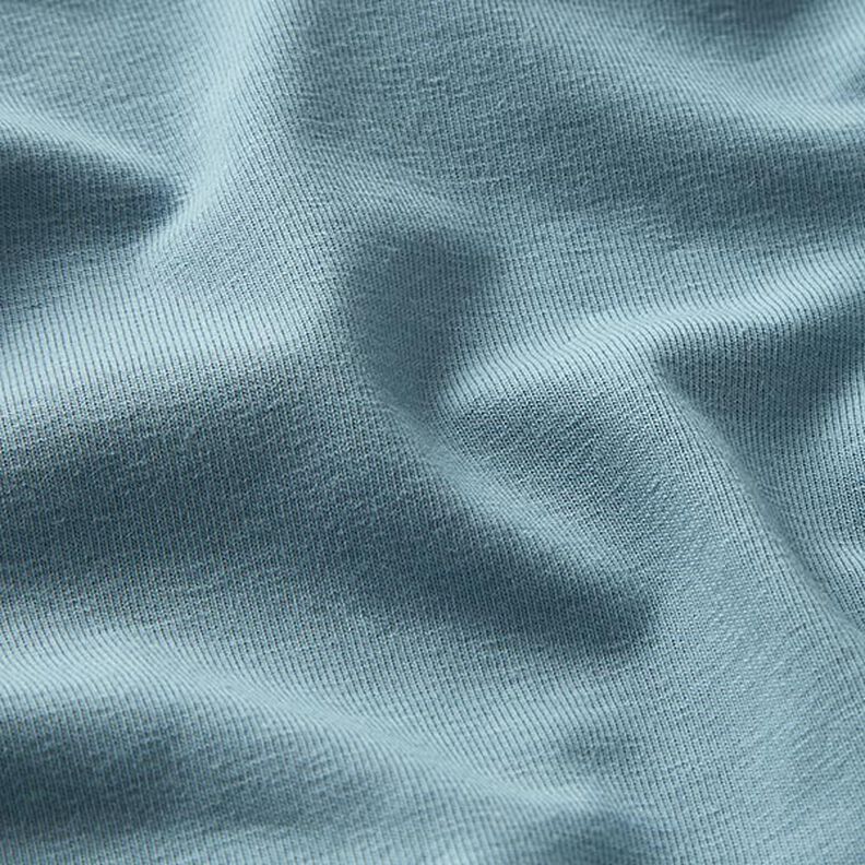 GOTS Baumwolljersey | Tula – taubenblau,  image number 2