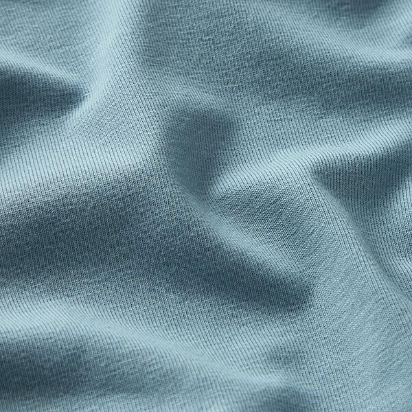 GOTS Baumwolljersey | Tula – taubenblau,  image number 2