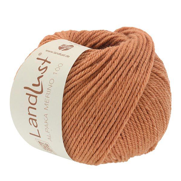 LANDLUST Alpaca Merino 100, 50g | Lana Grossa – hellbraun, image number 1