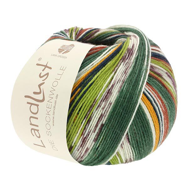 LANDLUST Sockenwolle „Bunte Bänder“, 100g | Lana Grossa – dunkelgrün/natur, image number 3