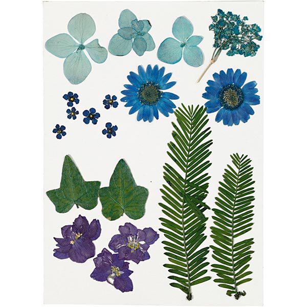 Gepresste Blüten&Blätter [19-teilig] – blau/grün,  image number 1