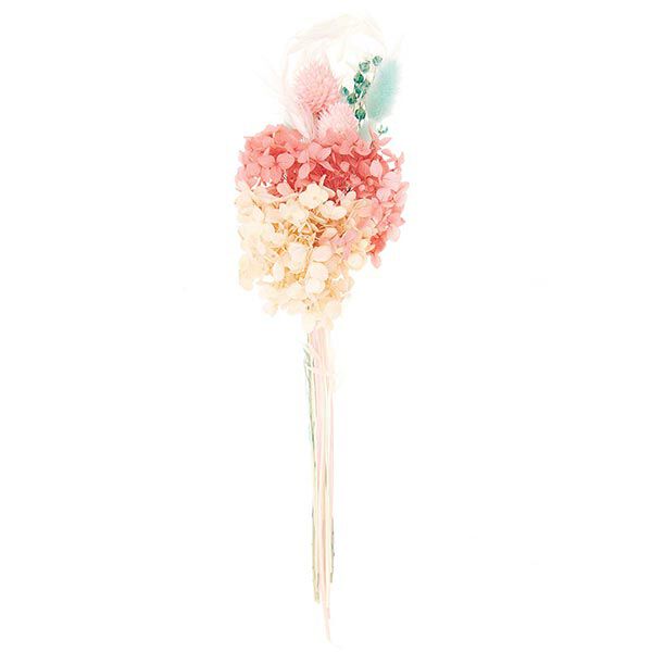 Trockenblumen Set [ 30 cm ] | Rico Design – türkis,  image number 5