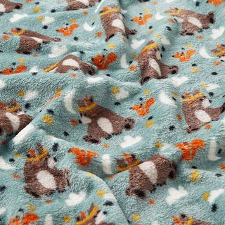 Wellnessfleece Doubleface Bär mit Federschmuck – hellgrau/dunkelbraun, 