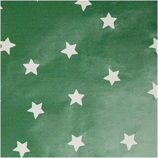 Geschenkpapier Sterne | Rico Design – grün, 