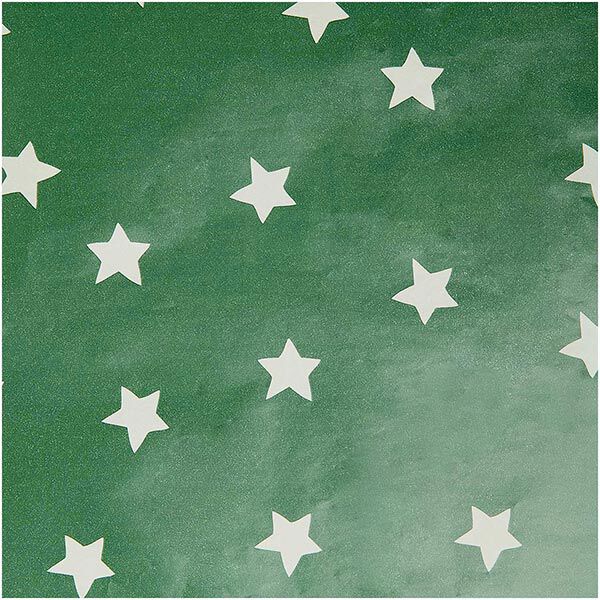 Geschenkpapier Sterne | Rico Design – grün,  image number 1