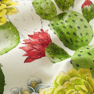 Dekostoff Canvas Kakteen – natur/grün | Reststück 50cm,