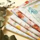 GOTS Batist Muschel-Blumen | Tula – wollweiss/hellblau,  thumbnail number 5