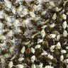 Spitzenstoff Blumenranken & Pailletten – schwarz/oliv,  thumbnail number 4
