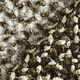 Spitzenstoff Blumenranken & Pailletten – schwarz/oliv,  thumbnail number 4