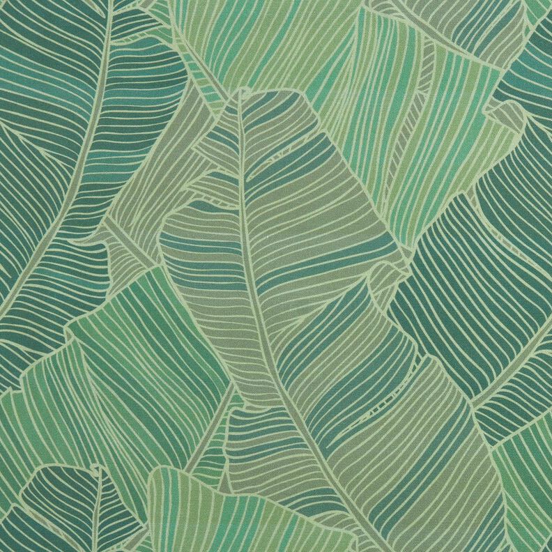 Outdoorstoff Canvas Blätterlinien – grün,  image number 1