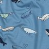 Baumwolljersey süße Wale | Poppy Fabrics – blaugrau/marineblau,  thumbnail number 2