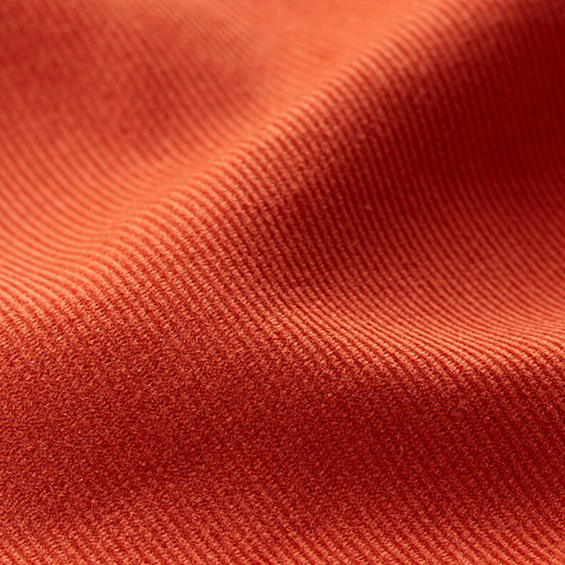 Babycord Uni – terracotta,  image number 3