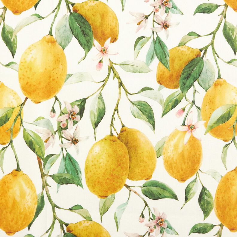 Outdoorstoff Canvas Zitronen – elfenbein/zitronengelb,  image number 1