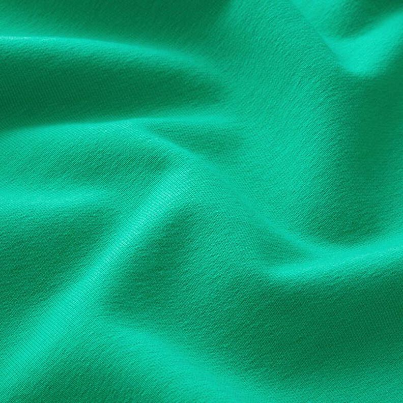 Leichter Baumwollsweat Uni – grün,  image number 4