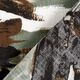 Kleider- und Blusenstoff Pinselstriche – schilf,  thumbnail number 5