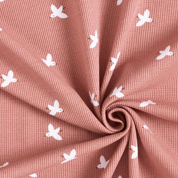 Waffeljersey Vögel – altrosa | Reststück 100cm