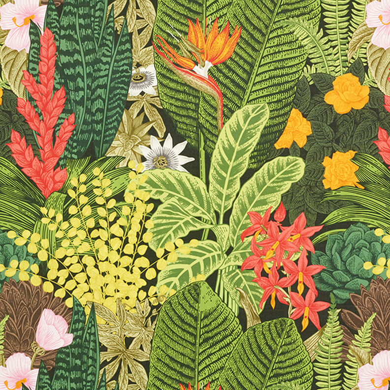 Outdoorstoff Canvas Exotische Pflanzen – dunkelgrün,  image number 1