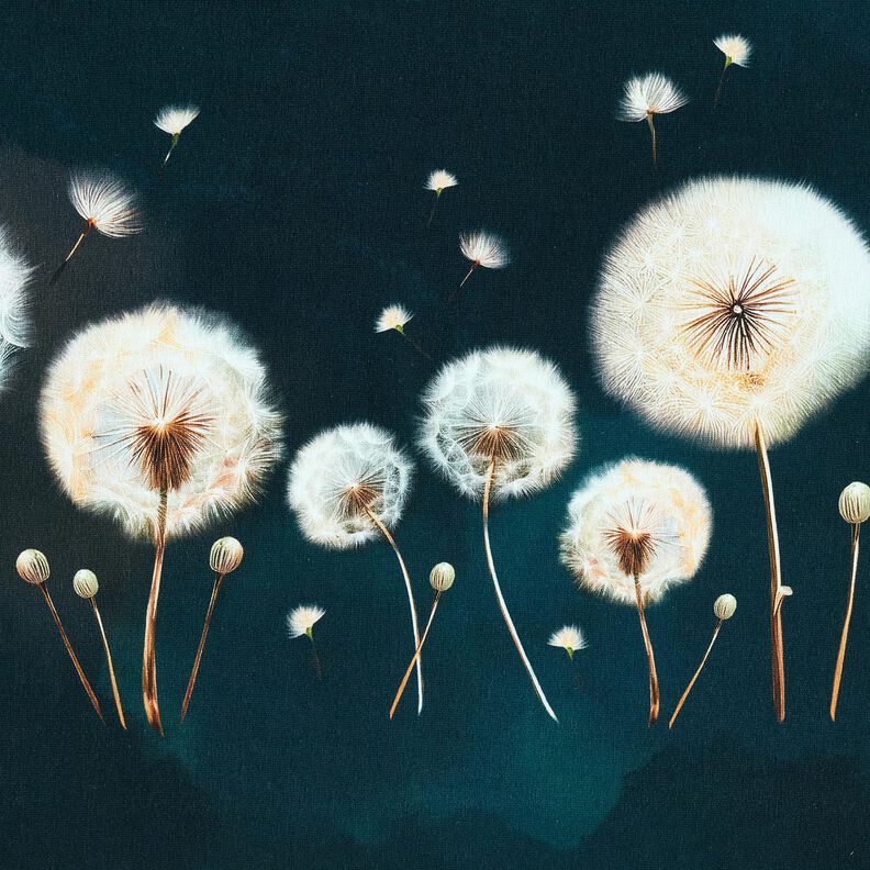 Baumwolljersey Pusteblumen Bordürenstoff | Glitzerpüppi – schwarzblau/mandel, image number 5