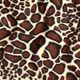 Tierfellimitat Giraffe – braun,  thumbnail number 1