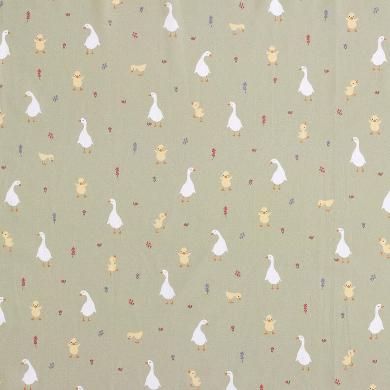 GOTS Baumwollpopeline süße Gänse und Küken | Poppy Fabrics – greige,  image number 1