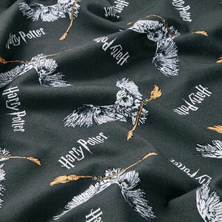 Baumwolljersey  Harry Potter, Hedwig mit Besen | Warner Bros. – schiefergrau, 