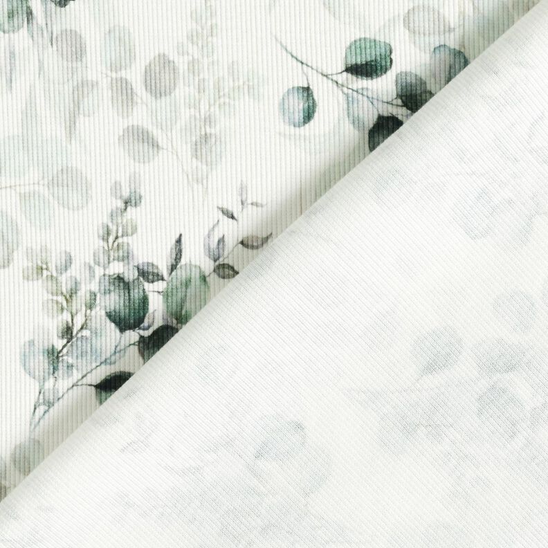 Rippenjersey Eukalyptus Digitaldruck – wollweiss,  image number 4