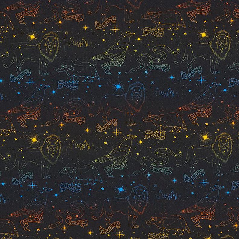 Baumwolljersey Lizenzstoff Wappentiere Sternbilder Harry Potter | Warner Bros. – schwarz,  image number 1