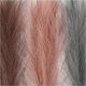Pampasgras, 50cm [3Stk.] - blaugrau, flieder, altrosa,  thumbnail number 3