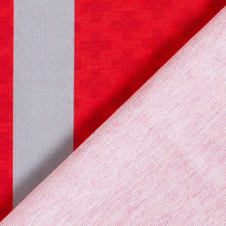 French Terry Sommersweat Bordürenstoff Einmal Notarzt sein – rot/silbergrau, image number 4