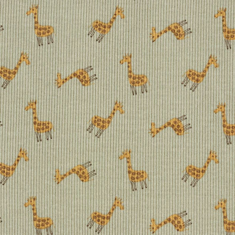 Rippenjersey süße Giraffen – khaki,  image number 1