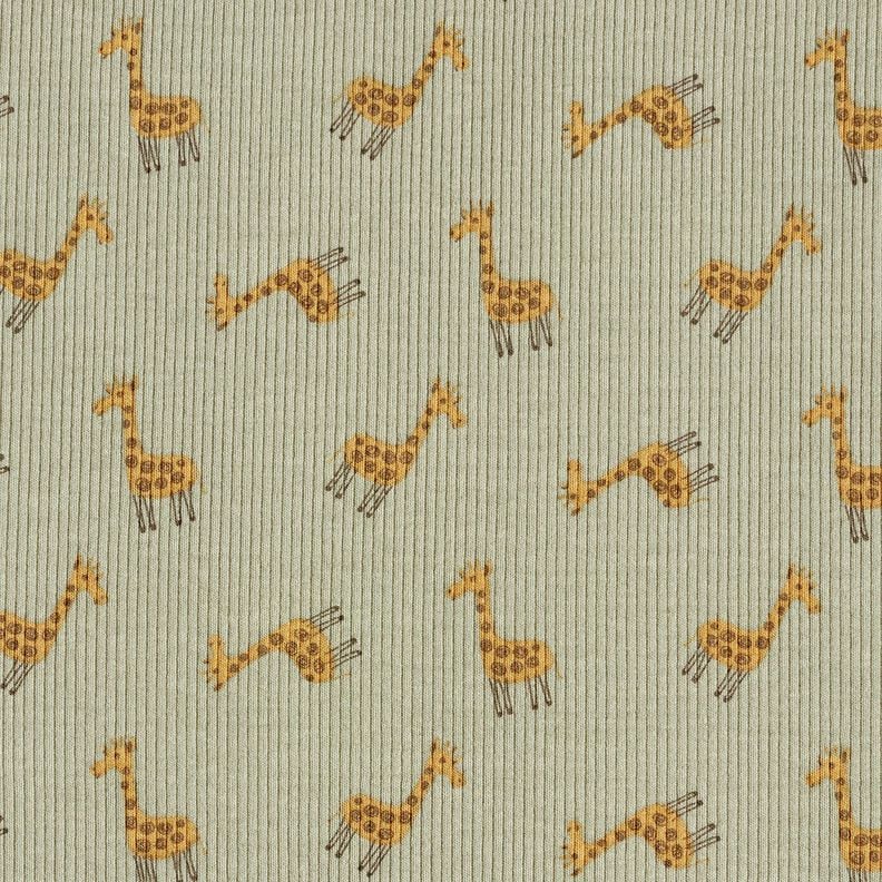 Rippenjersey süße Giraffen – khaki, image number 1