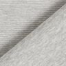 Ottoman-Rippenjersey Melange – hellgrau,  thumbnail number 4