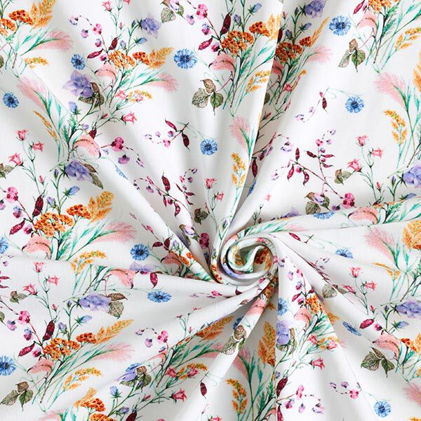 Baumwolljersey Wiesenblumen Digitaldruck – wollweiss | Reststück 50cm
