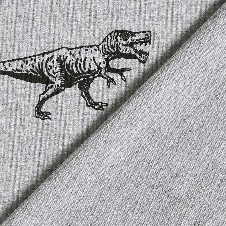 French Terry Sommersweat Dinos – silber/schwarz, image number 4