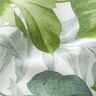 Dekostoff Canvas große Monsterablätter – weiss/grasgrün,  thumbnail number 2