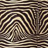 Microsan Zebra,  thumbnail number 1