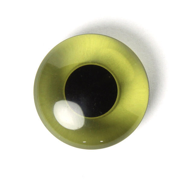 Tierauge 34,  image number 1