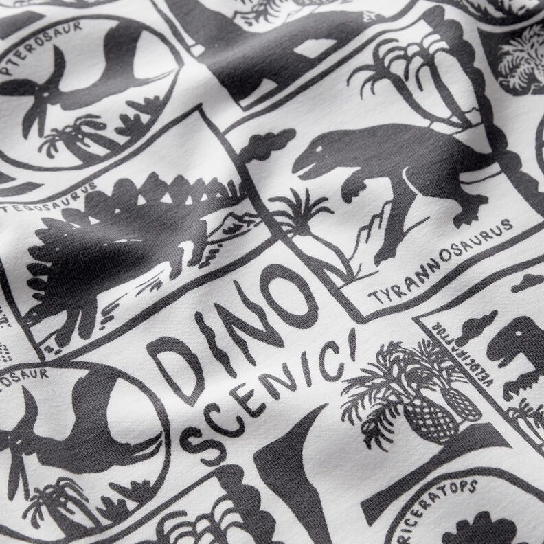 Baumwolljersey Dino-Patches | by Poppy weiss/anthrazit,  image number 2