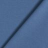 Romanit Jersey Premium – blaugrau,  thumbnail number 3