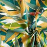 Beschichtete Baumwolle zarte Blätter – blautanne/currygelb,  thumbnail number 4