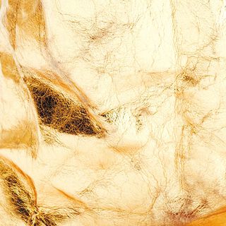 Washable Paper [48x100 cm] | RICO DESIGN - gold, 