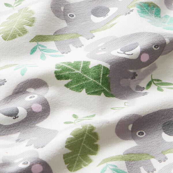Baumwolljersey süsse Koalas – wollweiss, image number 2