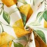 Outdoorstoff Canvas Zitronen – elfenbein/zitronengelb,  thumbnail number 4