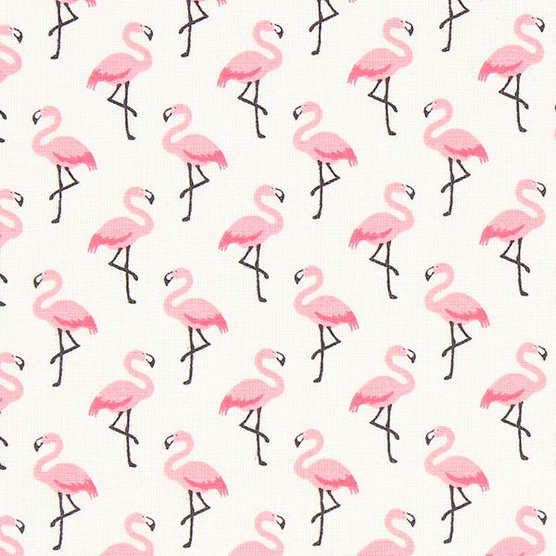 Beschichtete Baumwolle Flamingo,  image number 1