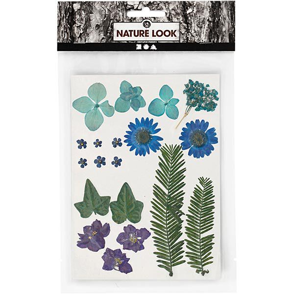 Gepresste Blüten&Blätter [19-teilig] – blau/grün,  image number 2