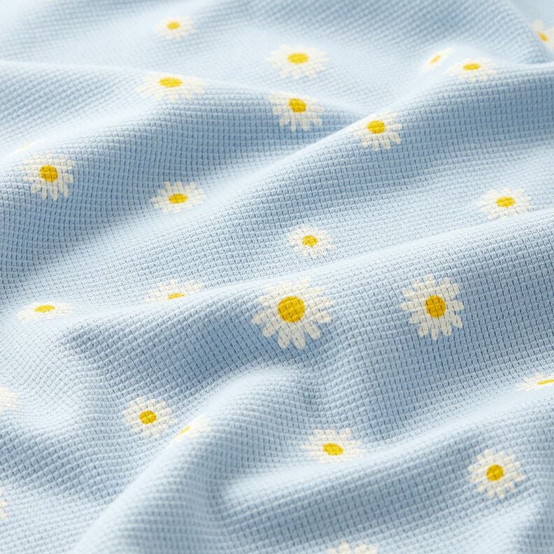 Waffeljersey Margeriten – silberblau, image number 2