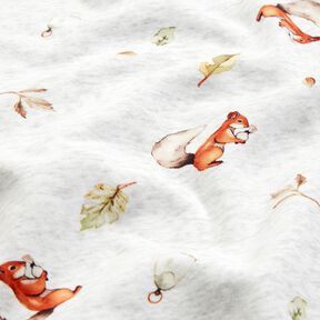 Alpenfleece Eichhoernchen – natur/hellgrau, 