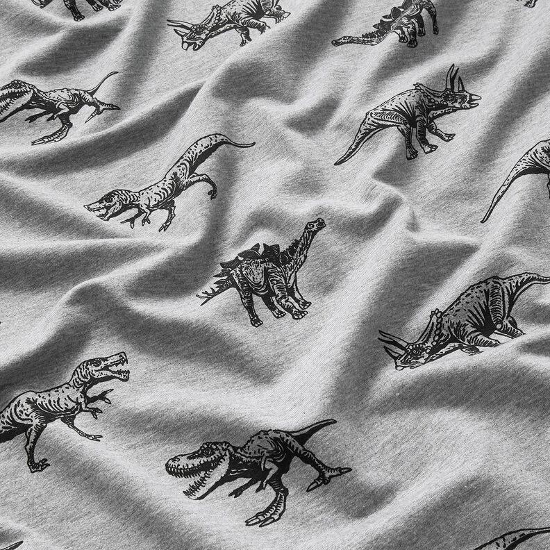 French Terry Sommersweat Dinos – silber/schwarz, image number 2