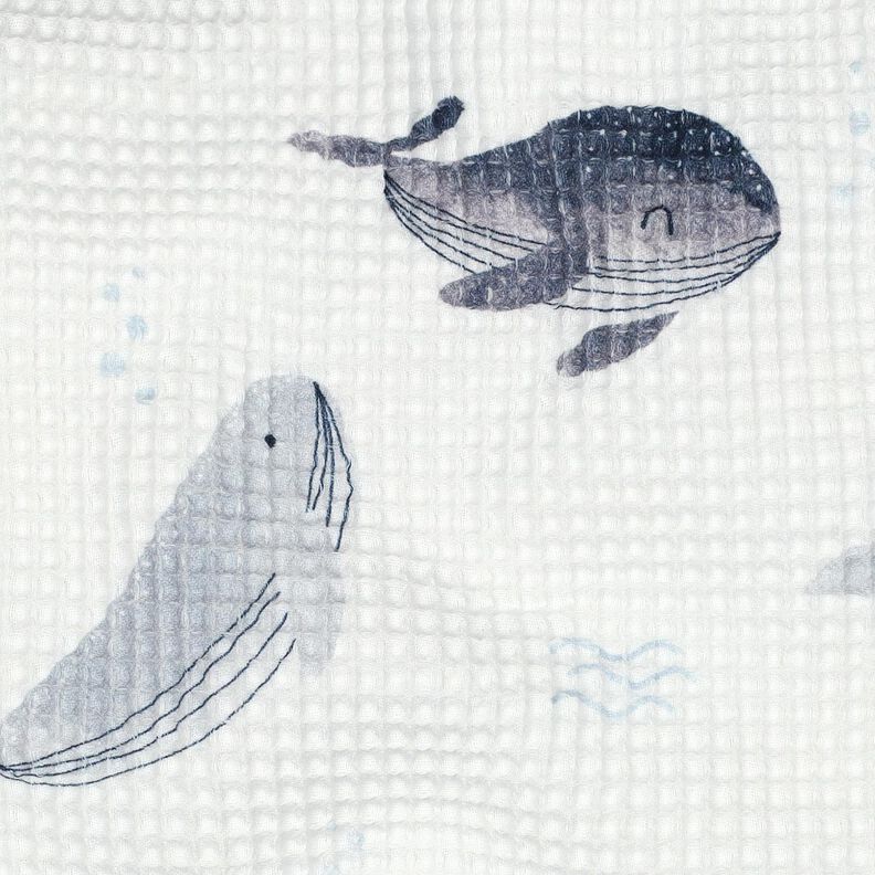 Waffelpiqué Wale Digitaldruck | Poppy Fabrics – elfenbein/blaugrau, image number 2